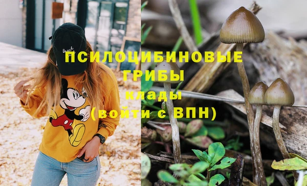 эйфоретик Магадан