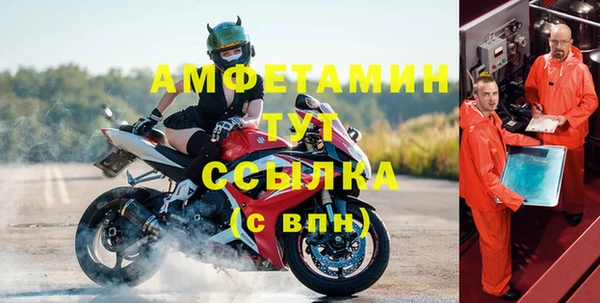 прущие грибы Березники