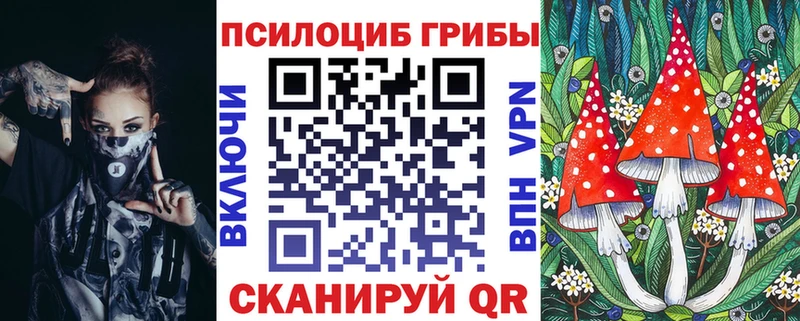 Галлюциногенные грибы мицелий  купить наркотик  Карачев 